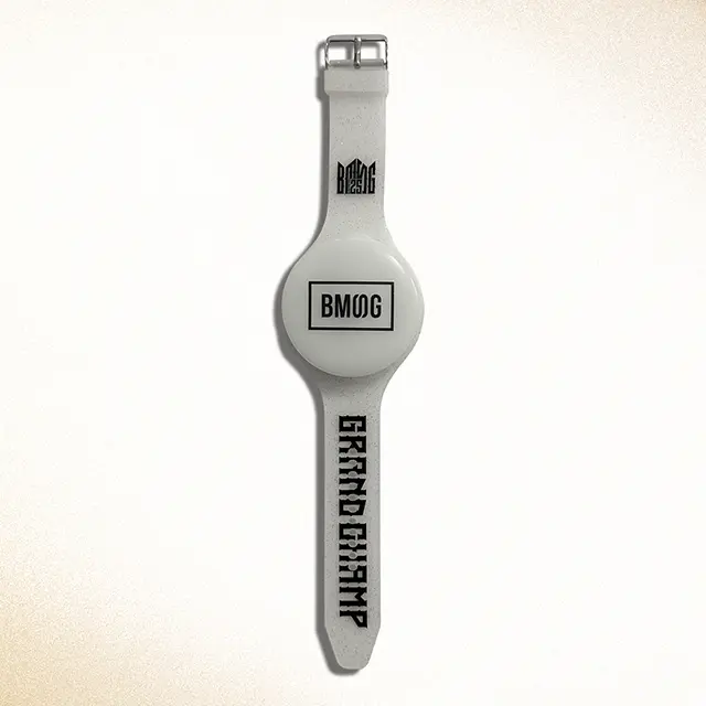 BMSG FES'25 OFFICIAL LIGHT BAND