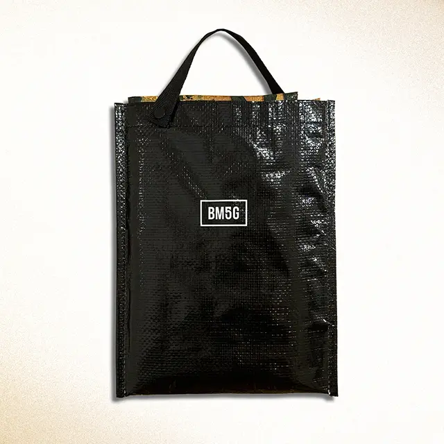 BMSG FES'25 レジャーシート