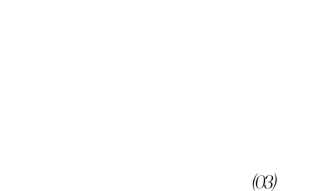 (03)